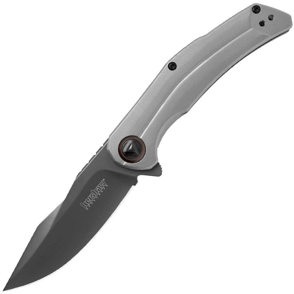 Kershaw Knives Kershaw Believer, 3.25" Blade, Stainless Steel Handle - 2070